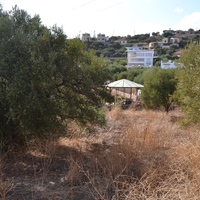 Land plot in Greece, Crete