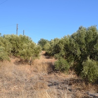 Land plot in Greece, Crete