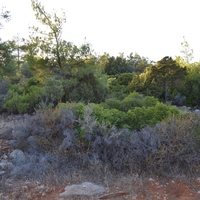 Земельный участок в Греции, Крит, 4600 кв.м.