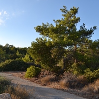 Земельный участок в Греции, Крит, 4600 кв.м.