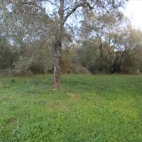 Земельный участок в Греции, Ионические острова