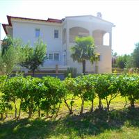 Other in Greece, Central Macedonia, Center, 350 sq.m.