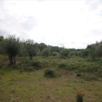 Land plot in Greece, Central Macedonia, Center