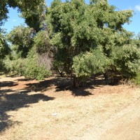 Land plot in Greece, Central Macedonia, Center