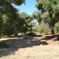 Land plot in Greece, Central Macedonia, Center