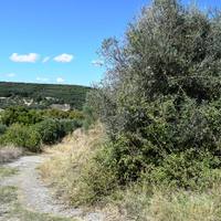 Земельный участок в Греции, Крит, Ханья