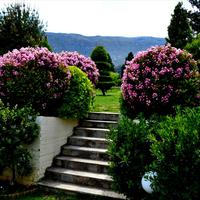 Другое в Греции, Пелопоннес, Kori, 180 кв.м.