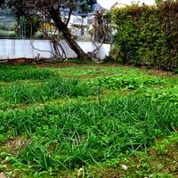 Другое в Греции, Пелопоннес, Kori, 180 кв.м.