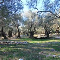 Land plot in Greece, Ionian Islands