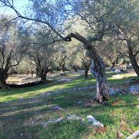 Land plot in Greece, Ionian Islands