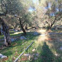 Land plot in Greece, Ionian Islands