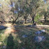 Land plot in Greece, Ionian Islands