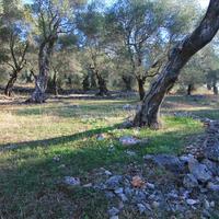 Land plot in Greece, Ionian Islands