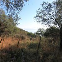 Land plot in Greece, Ionian Islands