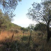 Land plot in Greece, Ionian Islands