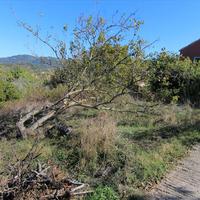 Land plot in Greece, Ionian Islands