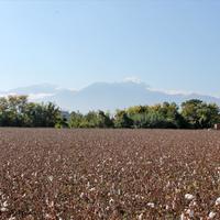 Land plot in Greece, Central Macedonia, Center