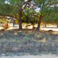 Land plot in Greece, Central Macedonia, Center