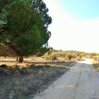 Land plot in Greece, Central Macedonia, Center