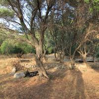 Земельный участок в Греции, Ионические острова