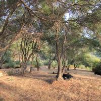 Земельный участок в Греции, Ионические острова