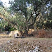 Земельный участок в Греции, Ионические острова