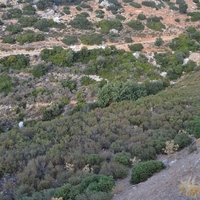 Земельный участок в Греции, Крит, Ираклион, 10000 кв.м.