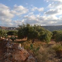 Земельный участок в Греции, Крит, Ираклион, 4300 кв.м.