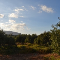 Земельный участок в Греции, Крит, Ираклион, 4300 кв.м.