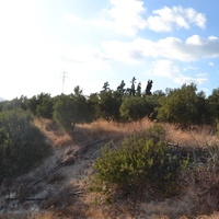 Земельный участок в Греции, Крит, Ираклион, 25000 кв.м.