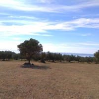 Land plot in Greece, Central Macedonia, Center