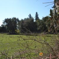 Земельный участок в Греции, Ионические острова