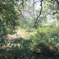 Land plot in Greece, Ionian Islands