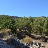 Land plot in Greece, Crete, 5500 sq.m.