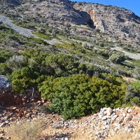 Земельный участок в Греции, Крит, 13500 кв.м.