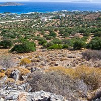 Land plot in Greece, Crete, 4050 sq.m.