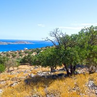 Земельный участок в Греции, Крит, 5500 кв.м.