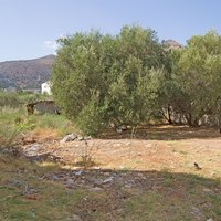 Земельный участок в Греции, Крит, 120 кв.м.