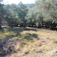 Land plot in Greece, Ionian Islands