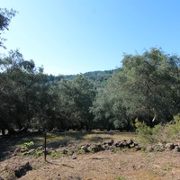 Land plot in Greece, Ionian Islands