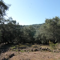 Land plot in Greece, Ionian Islands
