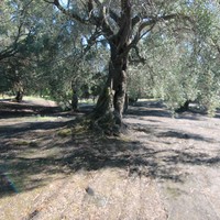 Land plot in Greece, Ionian Islands