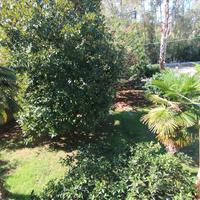 Other in Greece, Ionian Islands, 240 sq.m.