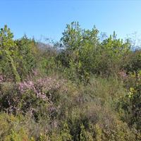 Земельный участок в Греции, Ионические острова