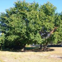 Квартира в Греции, Центральная Македония, Центр, 70 кв.м.