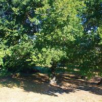 Квартира в Греции, Центральная Македония, Центр, 70 кв.м.