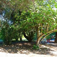 Flat in Greece, Central Macedonia, Center, 55 sq.m.