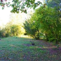 Flat in Greece, Central Macedonia, Center, 55 sq.m.