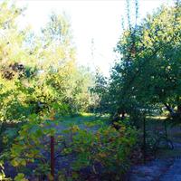 Flat in Greece, Central Macedonia, Center, 55 sq.m.