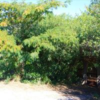 Flat in Greece, Central Macedonia, Center, 55 sq.m.